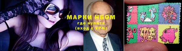 прущие грибы Нея