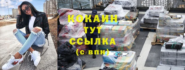 прущие грибы Нея