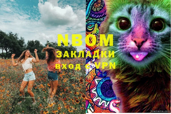 ПСИЛОЦИБИНОВЫЕ ГРИБЫ Наволоки