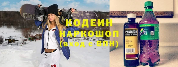 прущие грибы Нея