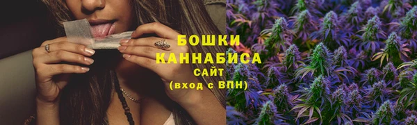 PSILOCYBIN Елабуга